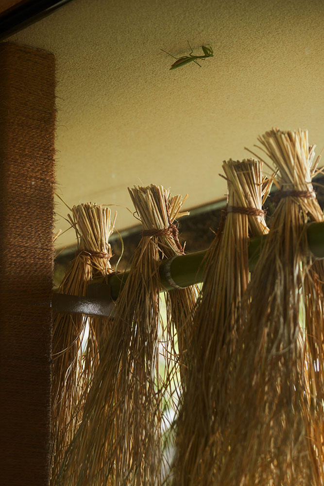 Laboratory Under The Crop Field-26