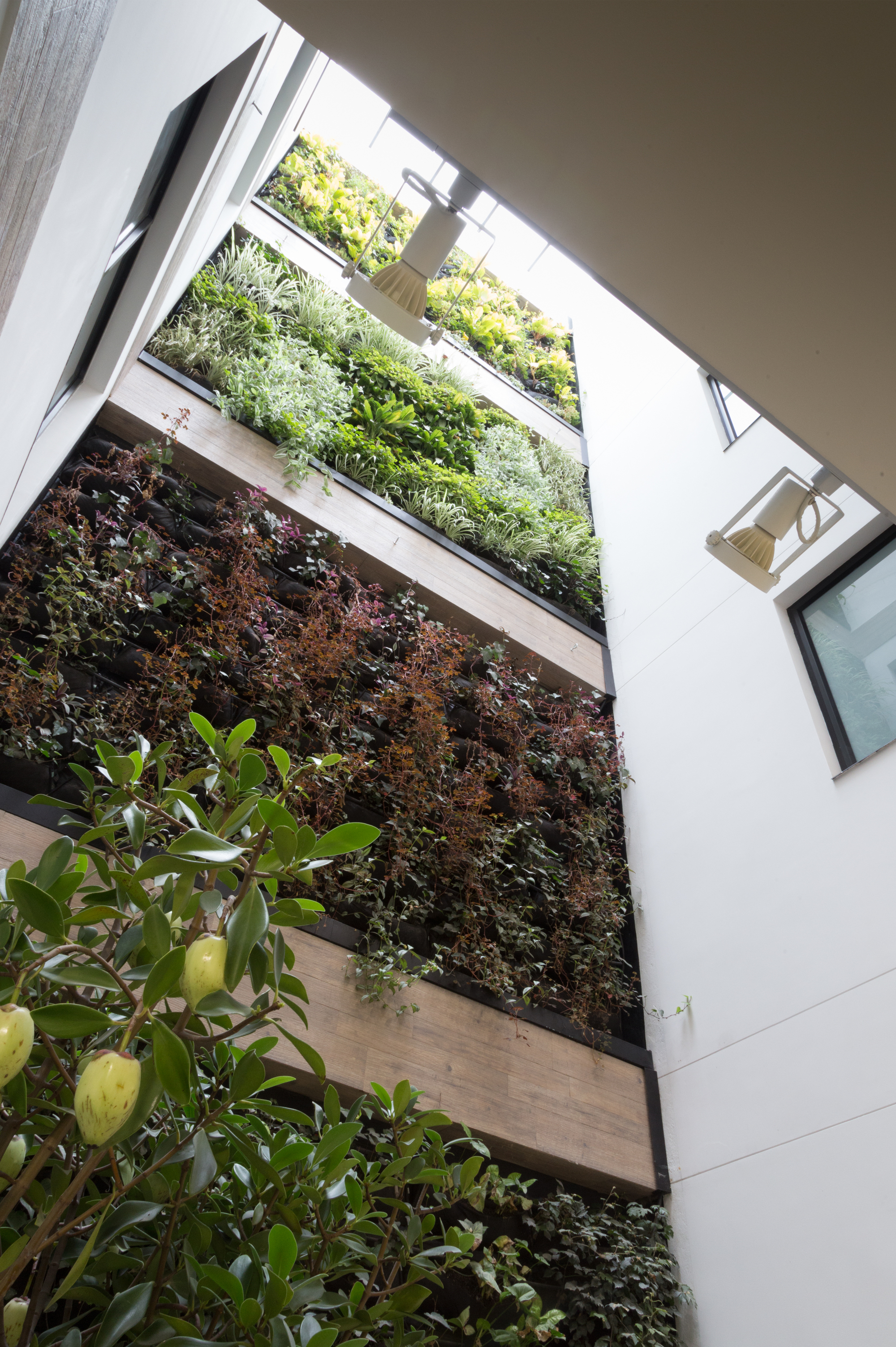 HG  老年之家丨哥伦比亚丨R+B Diseño Experimental-34