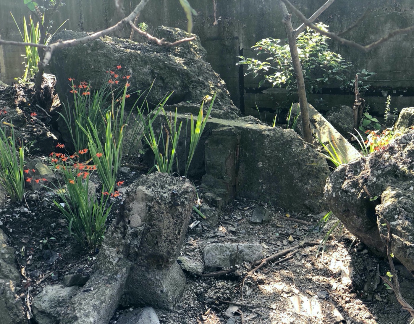 Edge Garden 景观设计丨中国上海丨YIYU-29