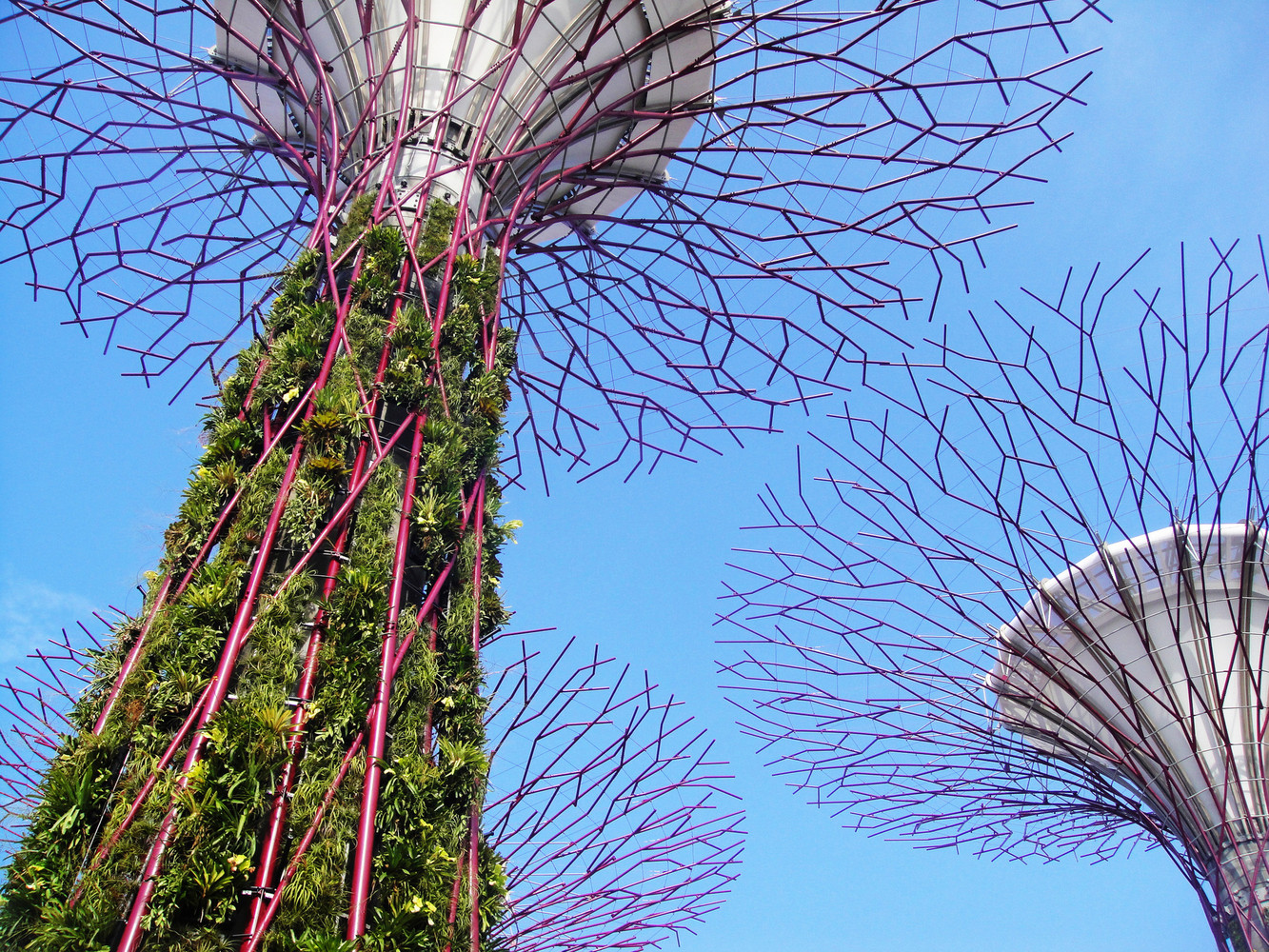 新加坡海湾花园-20