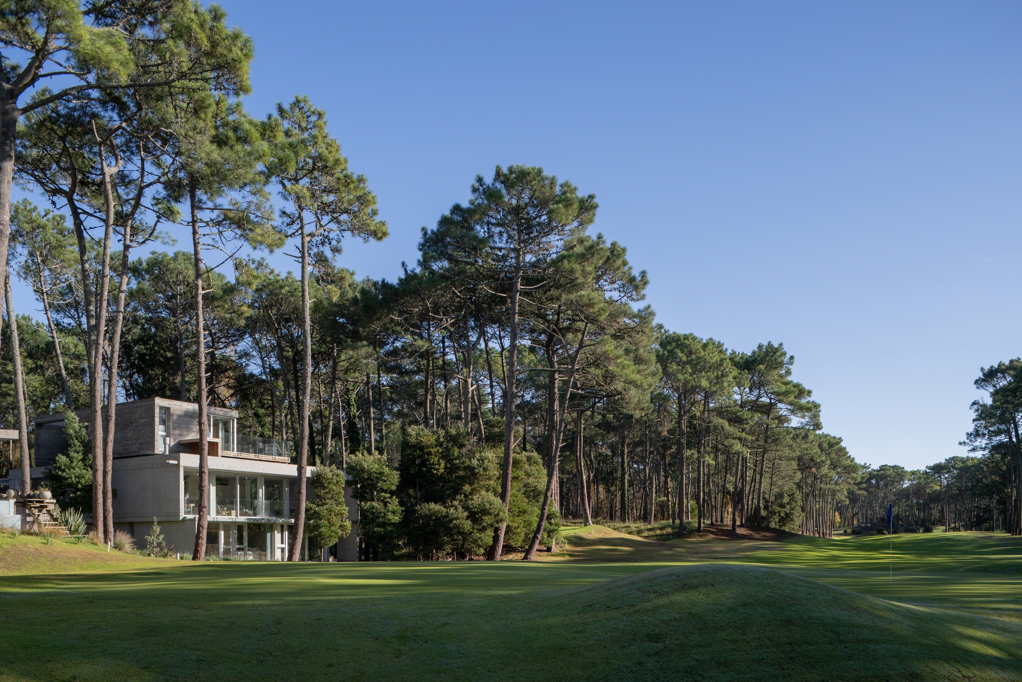 丨阿根廷丨Estudio Galera-33