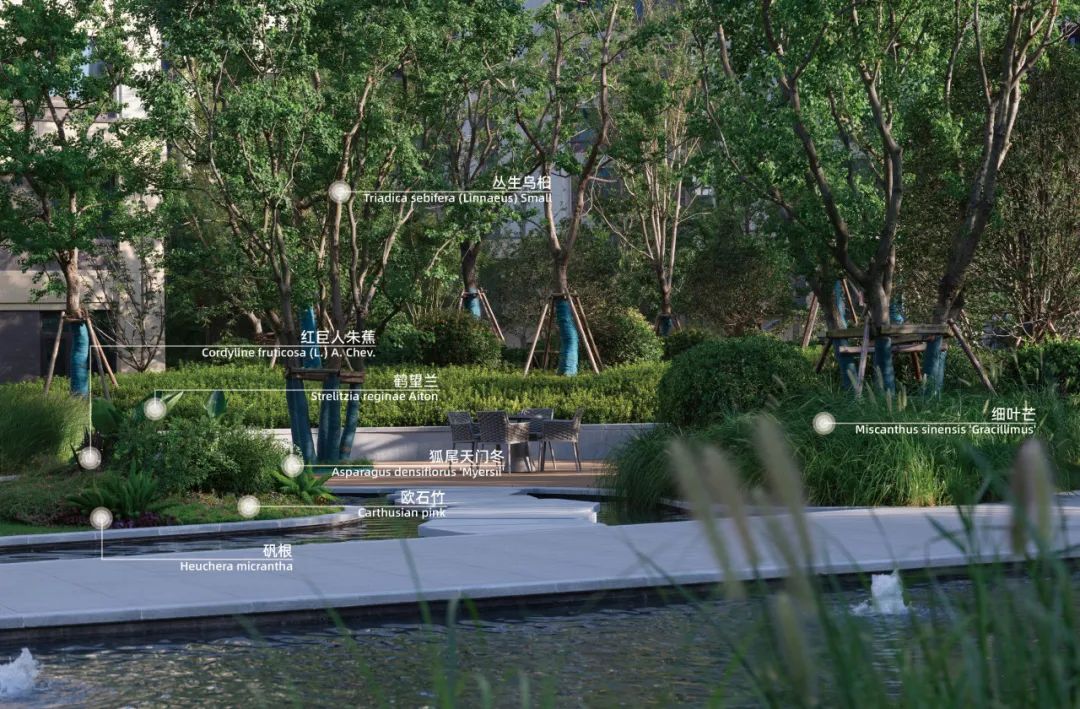 重新组合自然美 · 植物设计浅谈丨中国南京-17