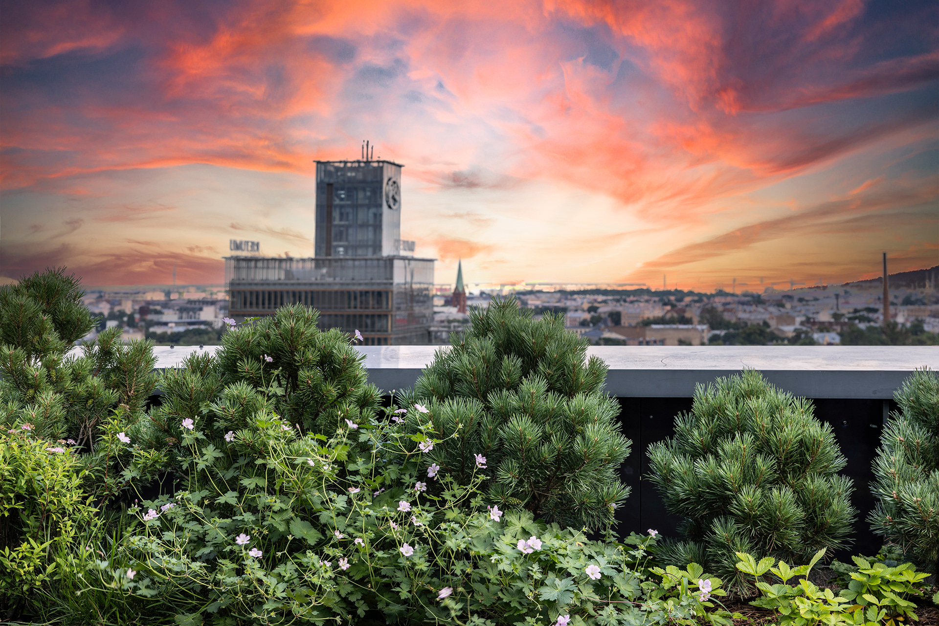 PRIVATE RESTAURANT TERRACE "Place 11" GARDEN DESIGN.-14