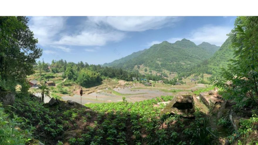 《青榭竹里》 | 即兴创作实践,重拾建筑温度-33