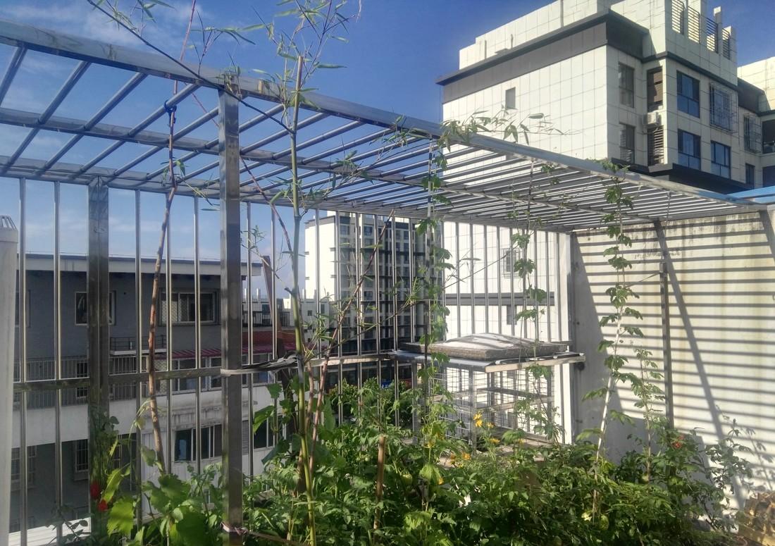 
屋顶立体种植 -7