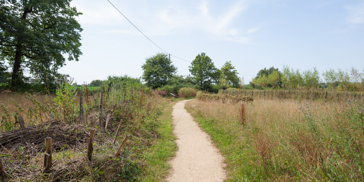 Centre Beautour环境与生物多样性科研中心-45