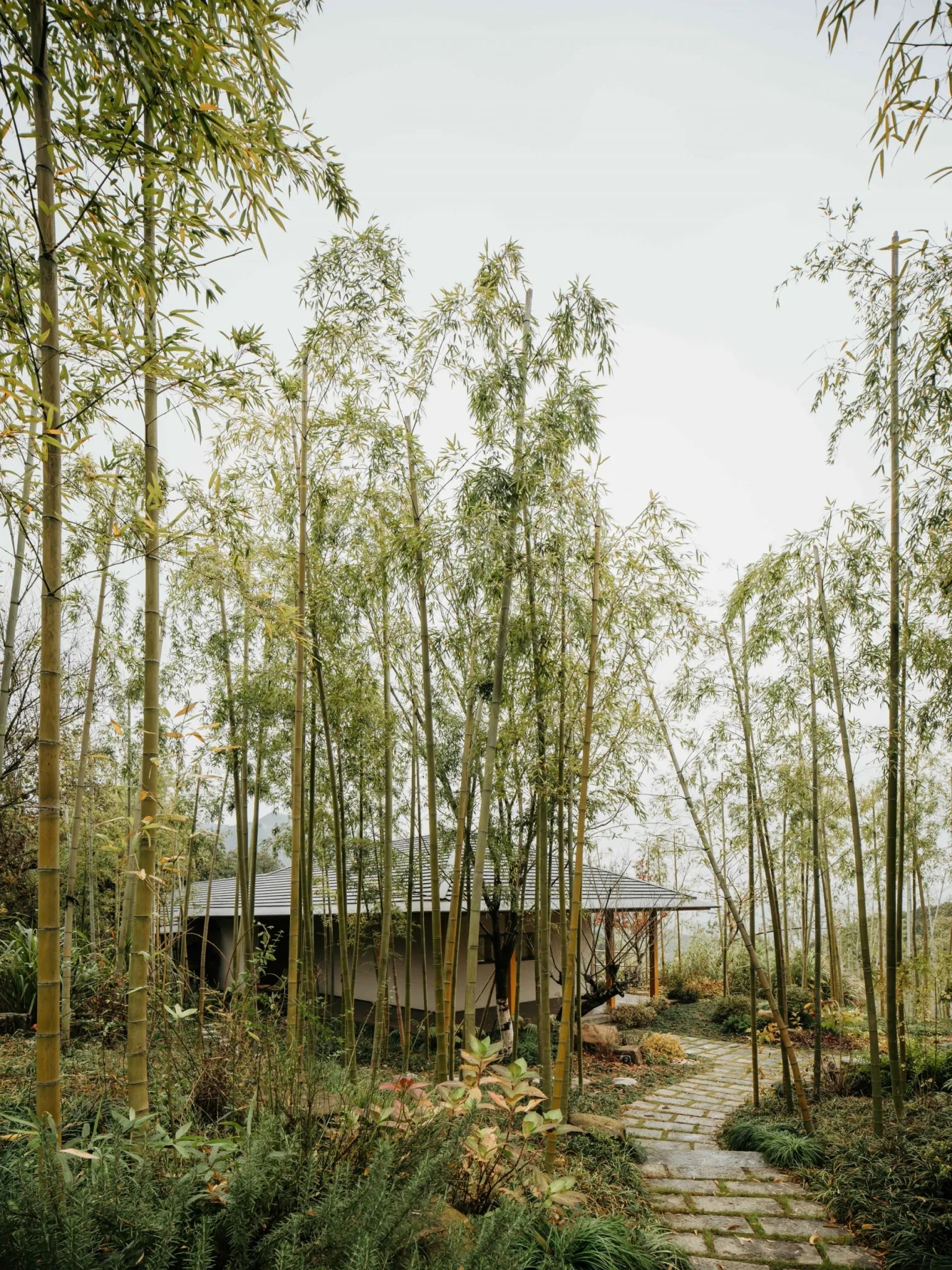 陶园丨中国丨中国美术学院风景建筑设计研究总院熊礼和团队-12