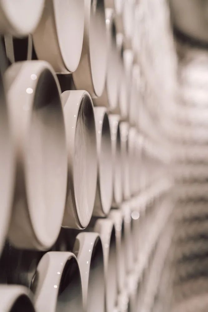 牙医诊所设计之美 · 阳光与曲线的交织-35