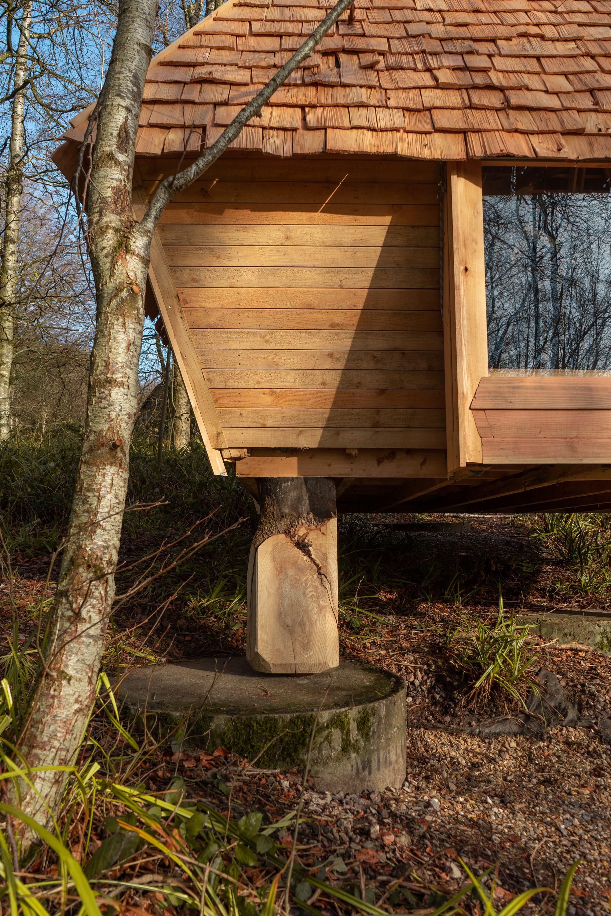 林地小屋丨英国丨AA Design and Make-13