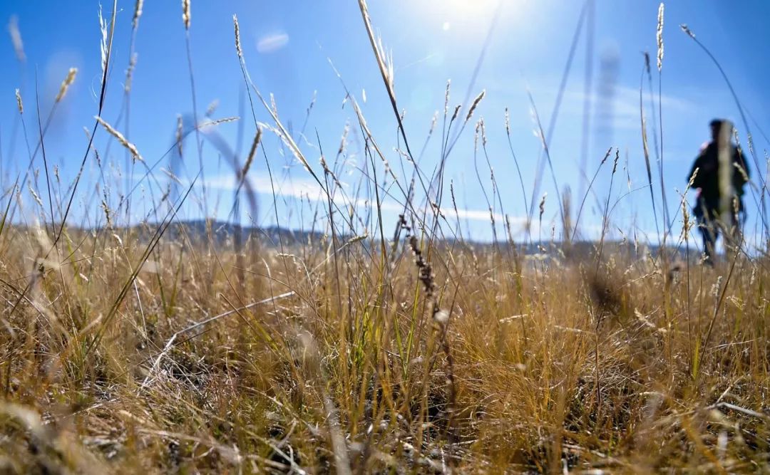 西安-- 甘肃-- 青海-- 西藏-- 云南环游之旅 | 诗和远方的田野-59
