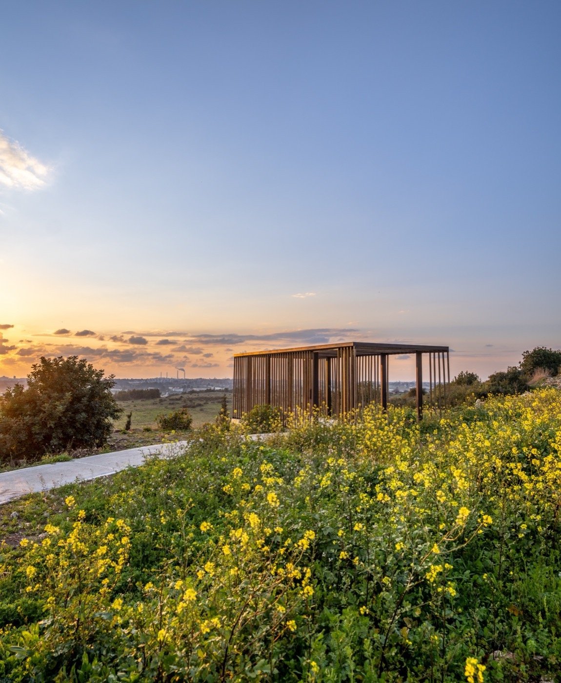 以色列哈里什森林公园-30