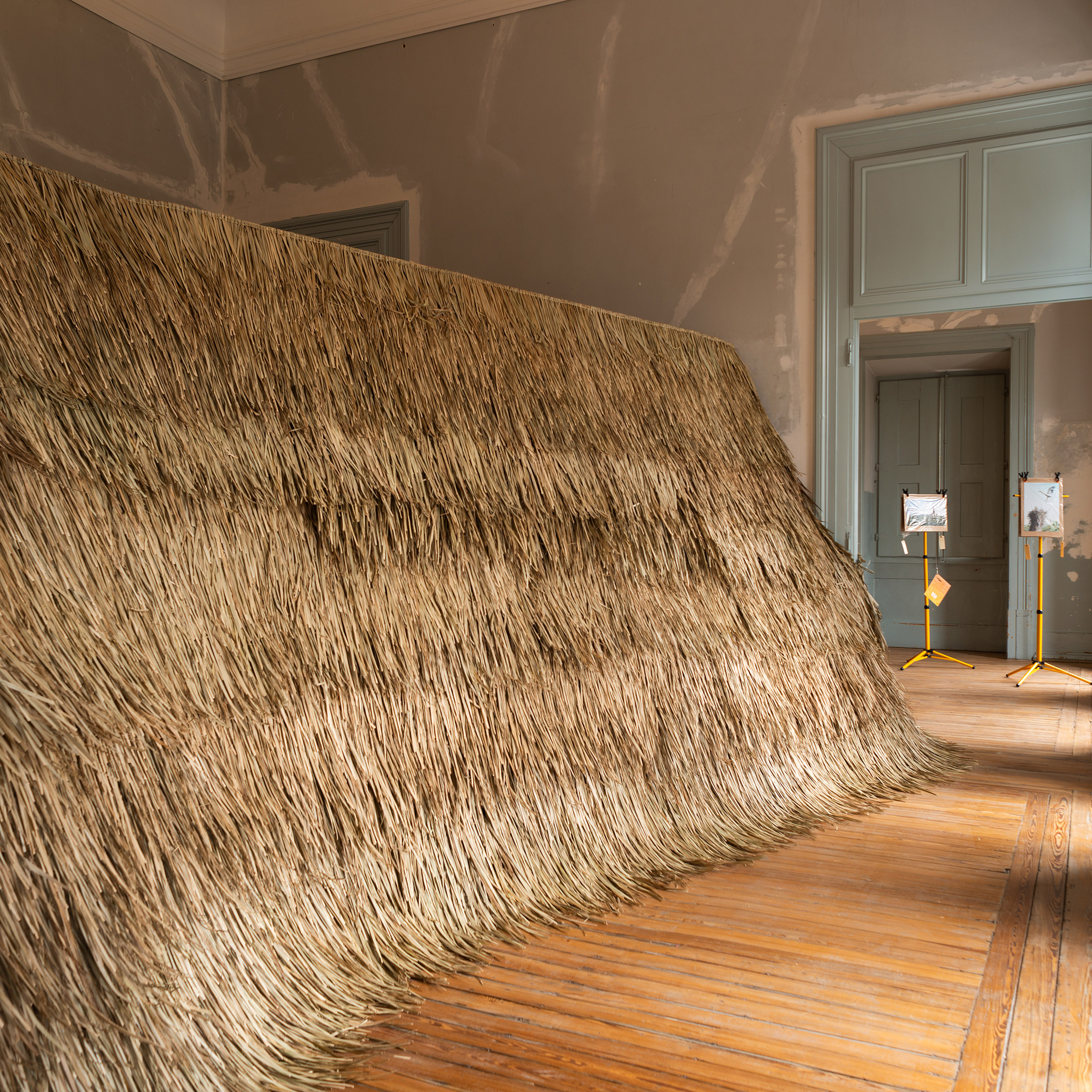 里斯本建筑三年展探讨可持续设计-27