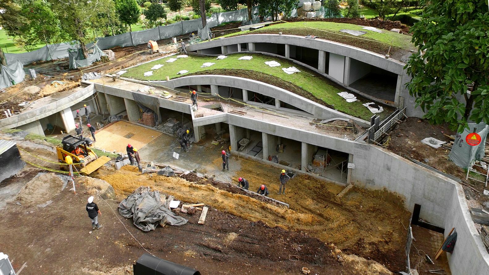 波哥大植物园植物标本馆-64