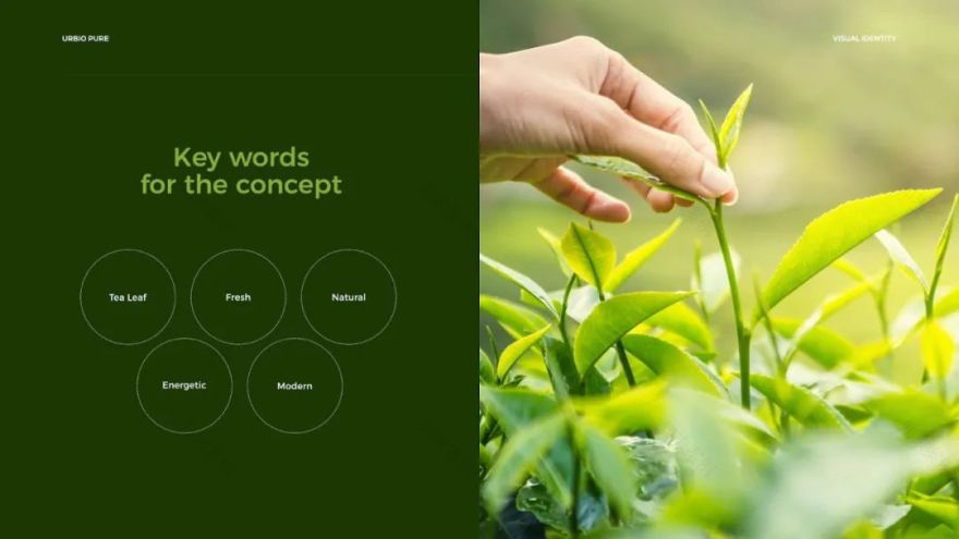 Urbio Pure 茶饮包装及 vi 设计丨印度丨Branzone 创意设计机构-3