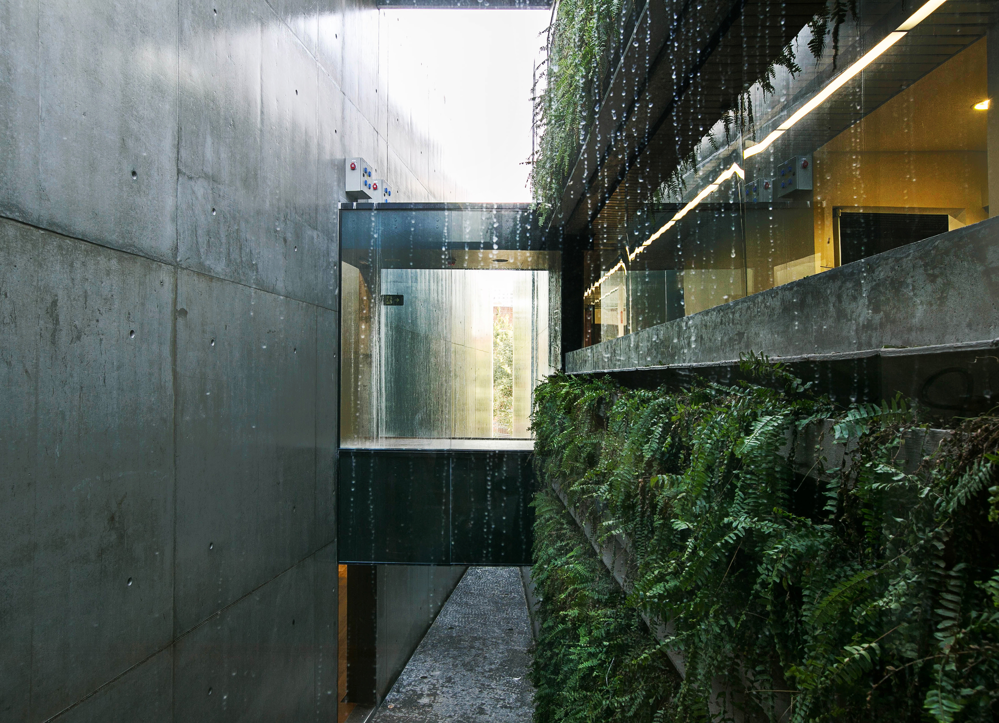 Porto Seguro Cultural Center / Yuri Vital-34