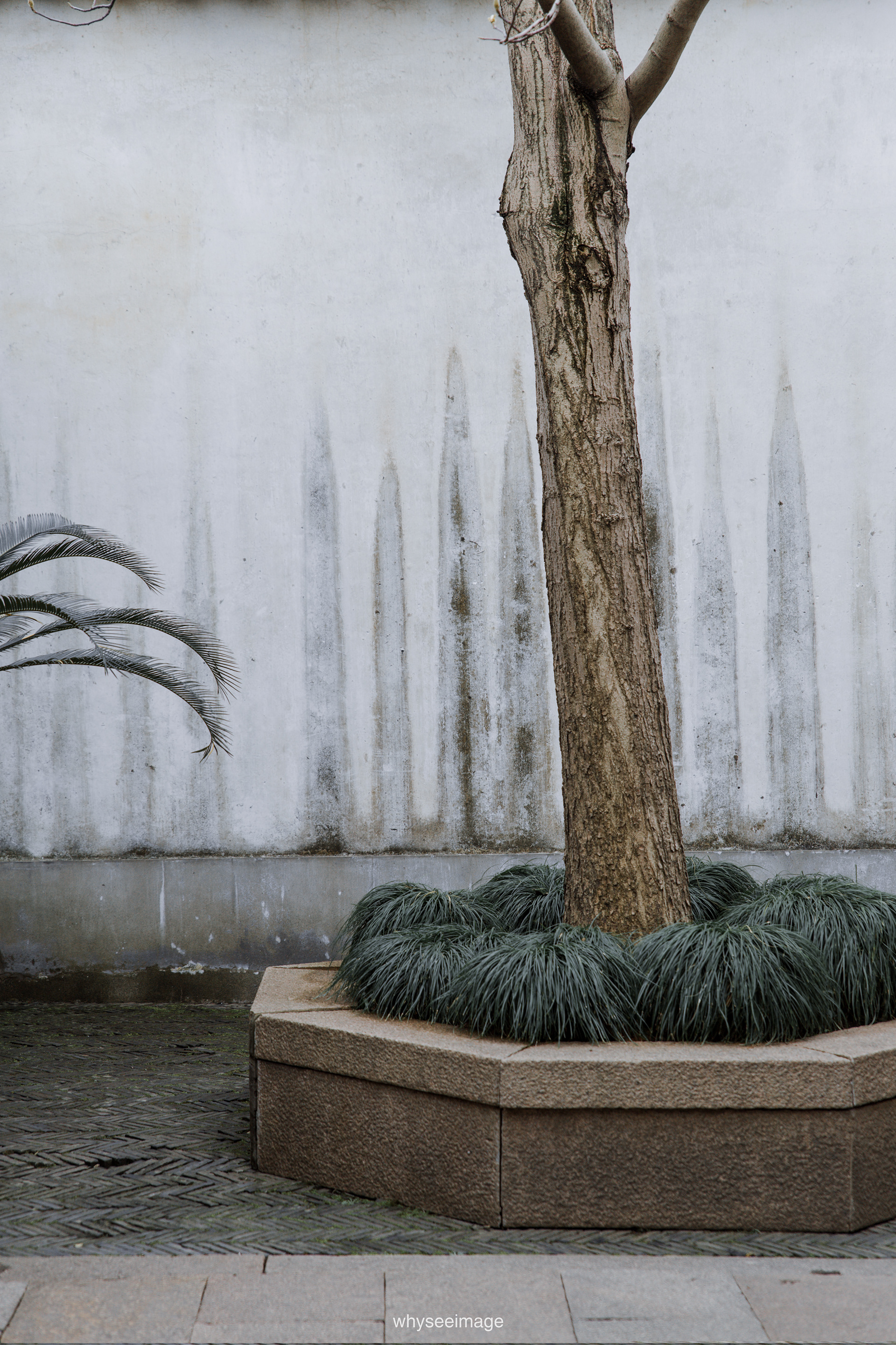 艺圃 Garden of Cultivation丨中国苏州丨whyseeimage-36