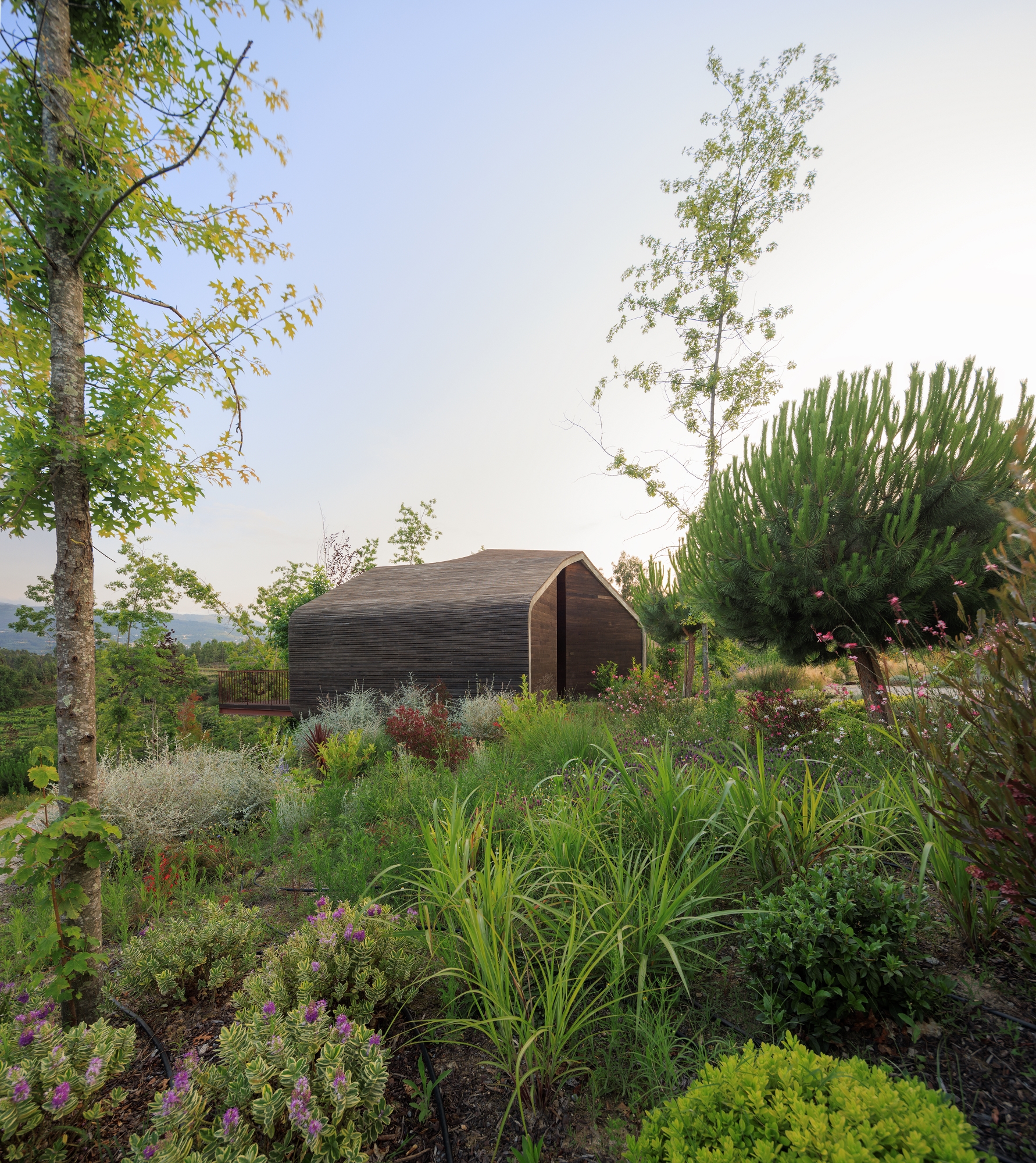 杜罗薰衣草自然与健康丨葡萄牙丨FCC Arquitectura-34