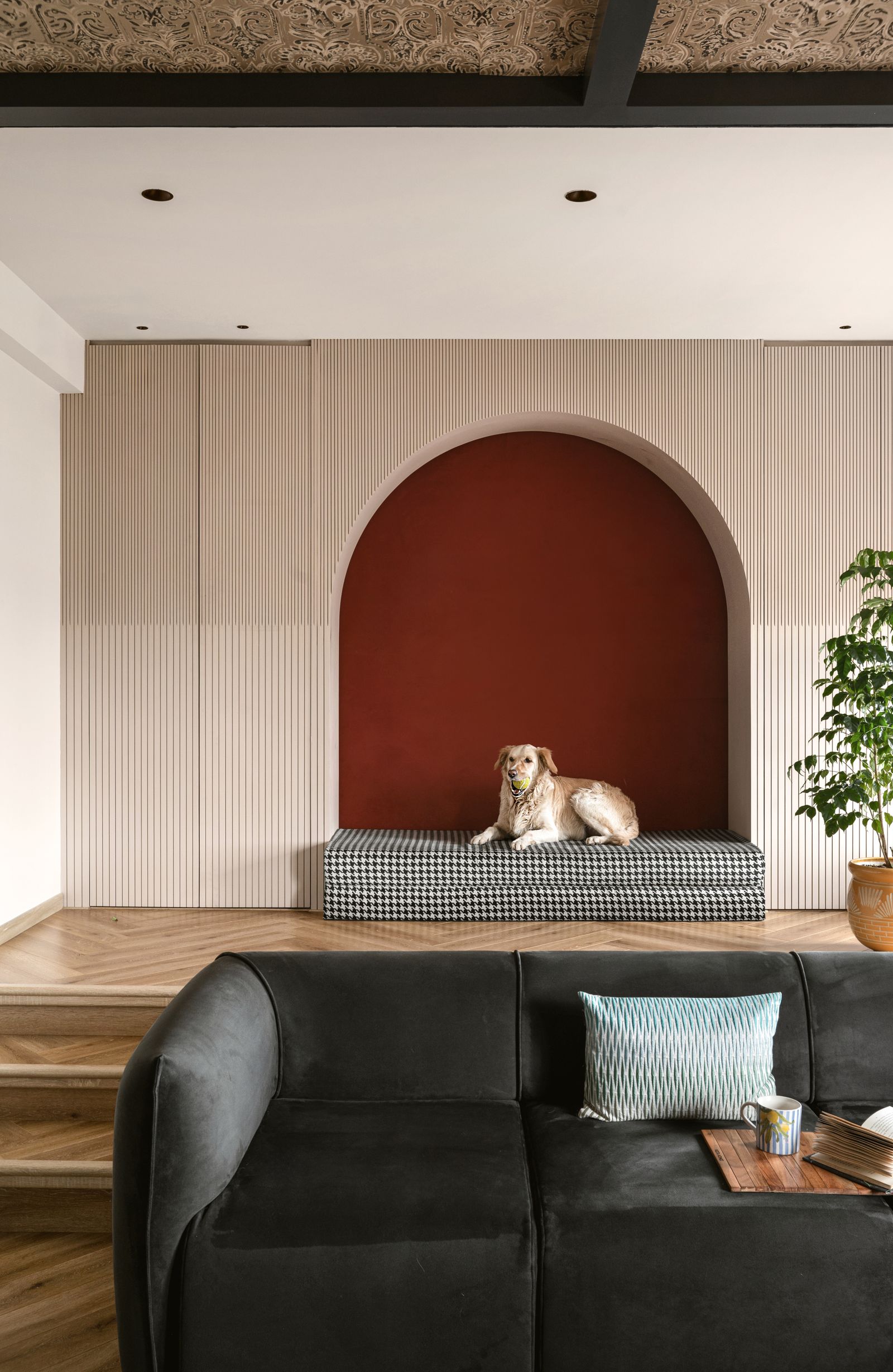 3000 平方英尺班加罗尔住宅丨印度班加罗尔丨班加罗尔 Studio Stimulus-26