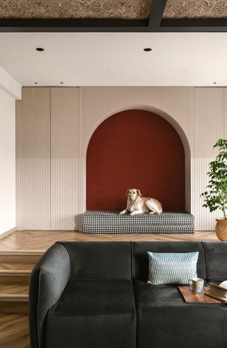 3000 平方英尺班加罗尔住宅丨印度班加罗尔丨班加罗尔 Studio Stimulus-26