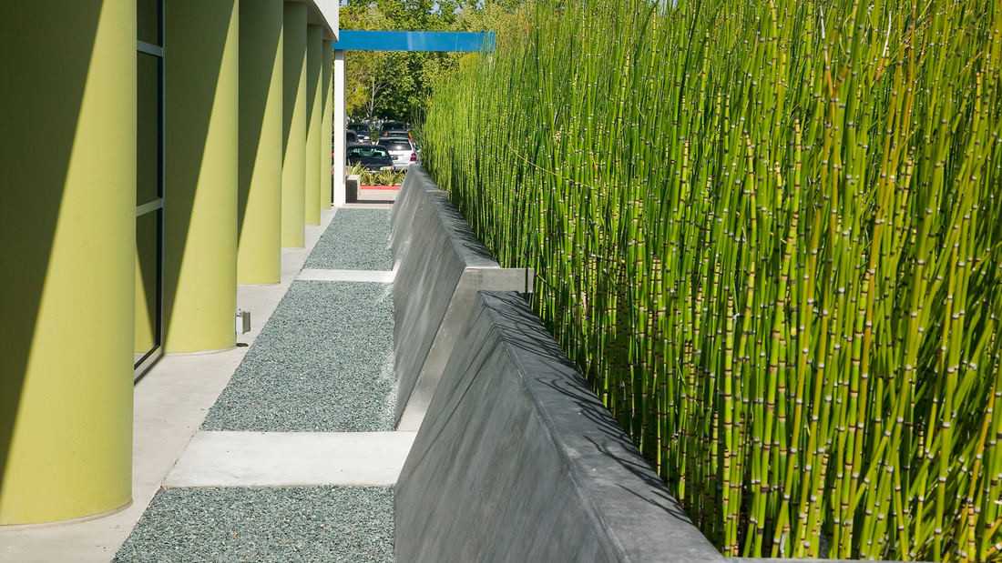 帕洛阿尔托医疗中心丨美国加利福尼亚丨SWA-7