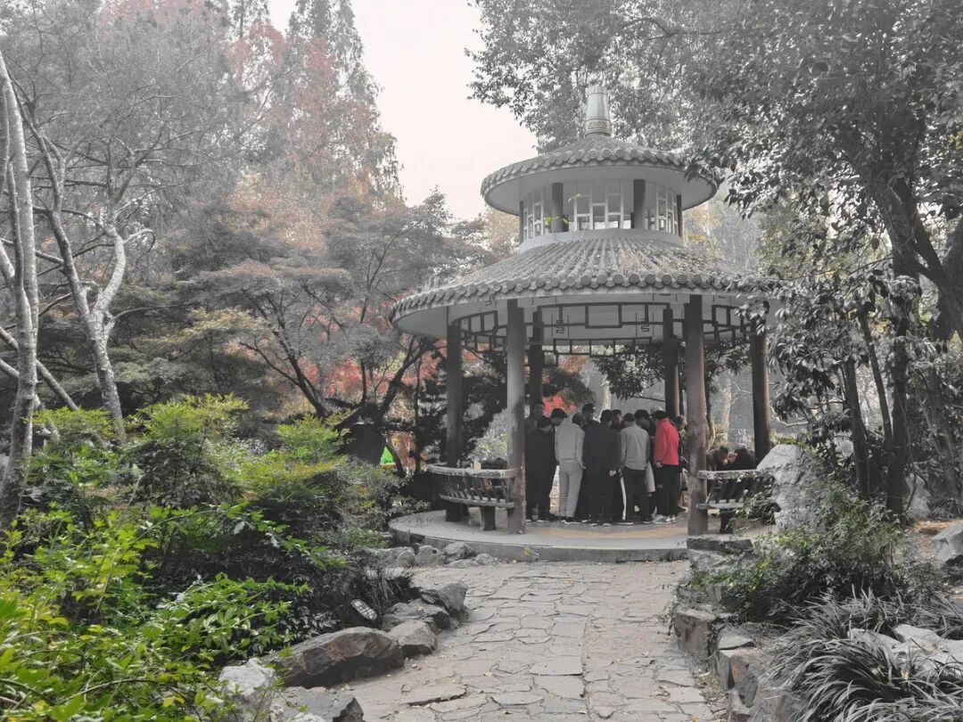 中国园林·理事专栏|“拓”之力量：杨浦公园改造纪实(三)-239