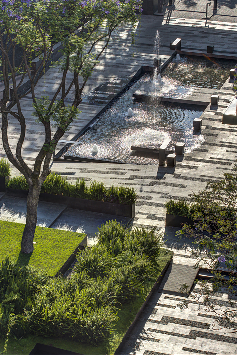 Coyoacán公司校园-35