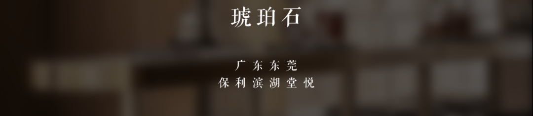 逆水行舟,再攀高峰——SNP 2020 年度回顾-50