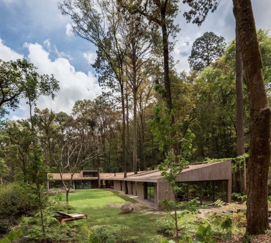 房屋/ Dellekamp建筑师-0