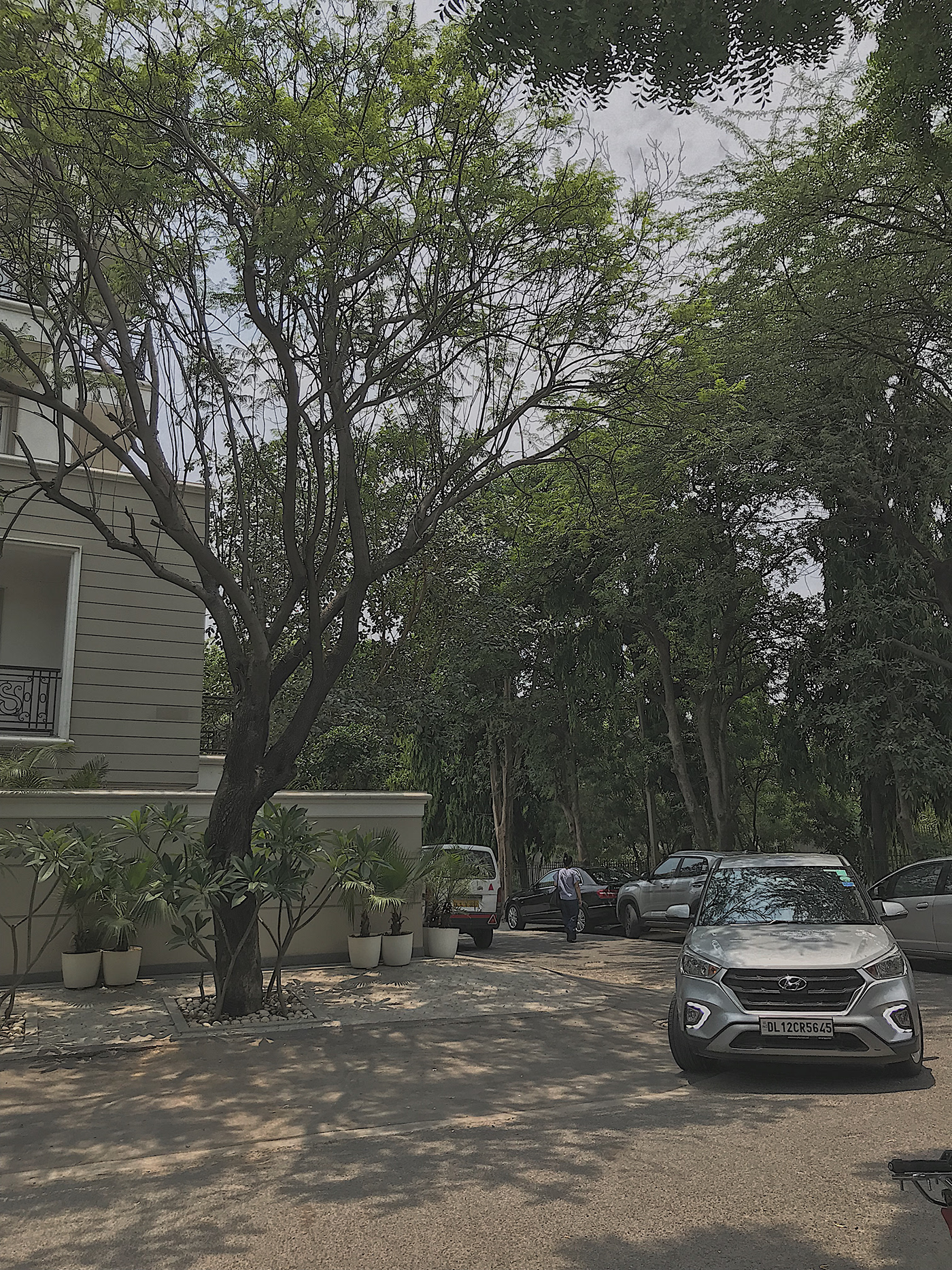 印度德里豪华公寓设计-1