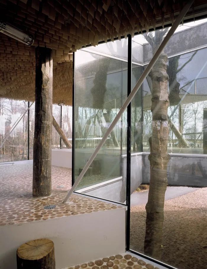 荷兰 Veluwe 国家公园茶馆丨SEARCH-45