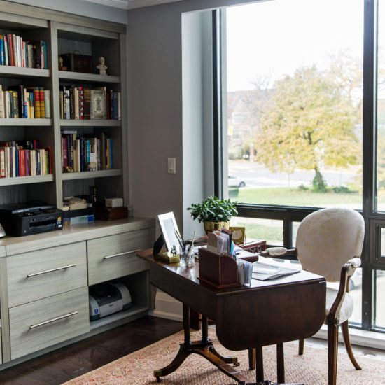 Avenue Road公寓重建项目丨Timothy Johnson Design-11