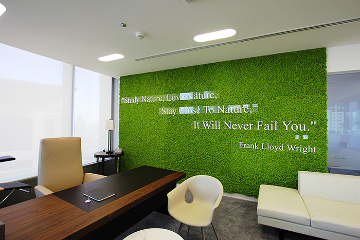 A message in moss -3