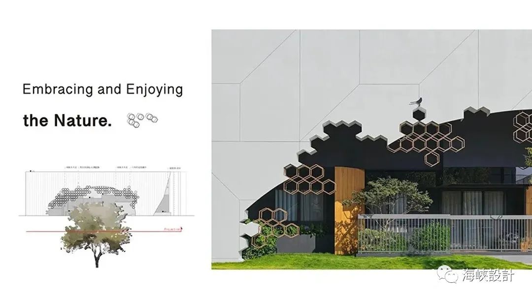《森の穴居》——拥抱自然的诗意栖居-17