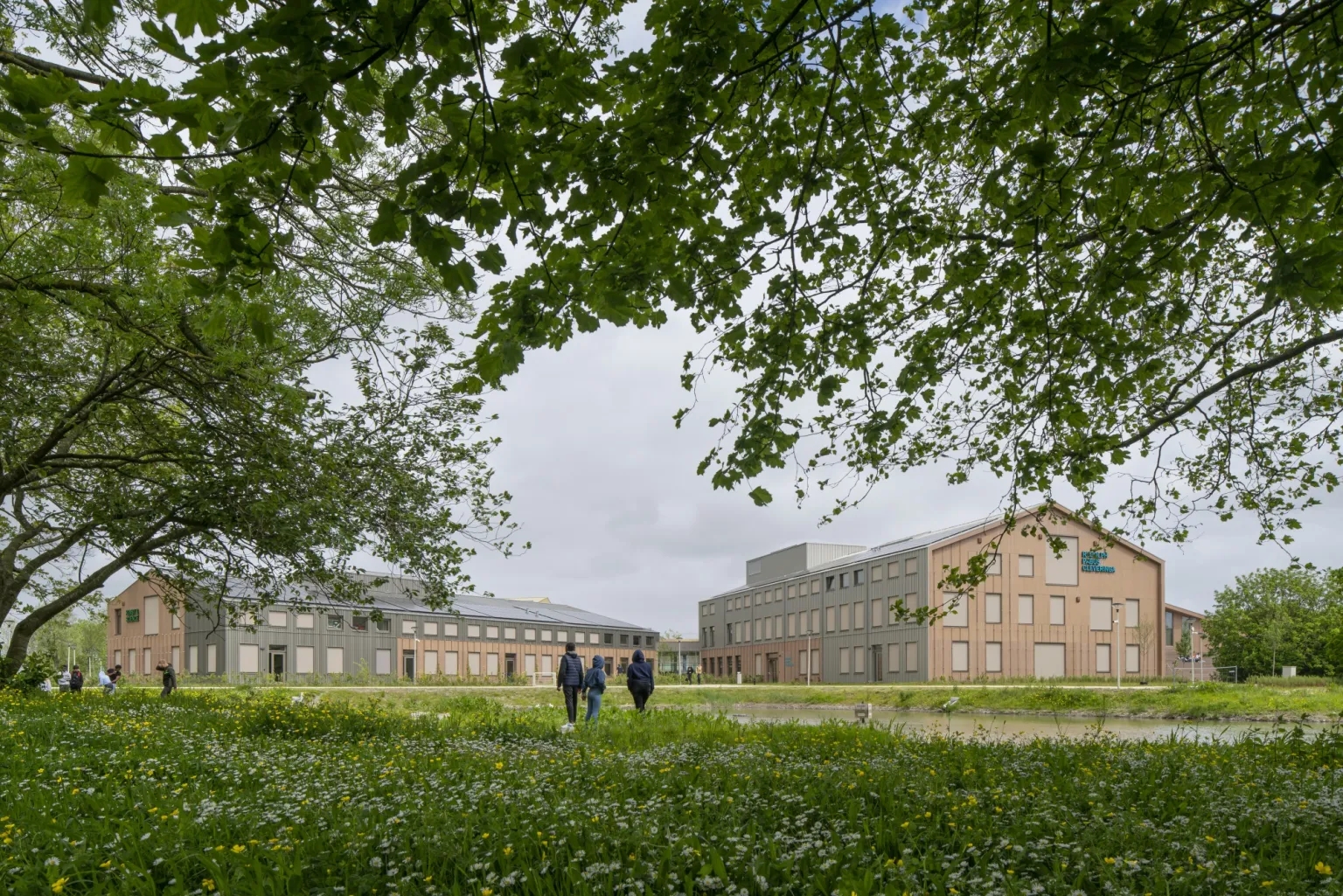 荷兰 Eemsdelta 校园综合体丨荷兰格罗宁根丨Felixx 景观设计事务所与 De Unie Architecten-7