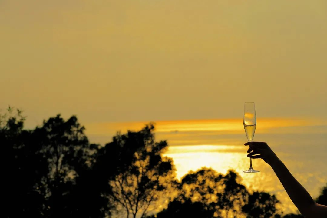 阿丽拉珠海东澳岛酒店丨中国珠海丨HSD水平线设计-330