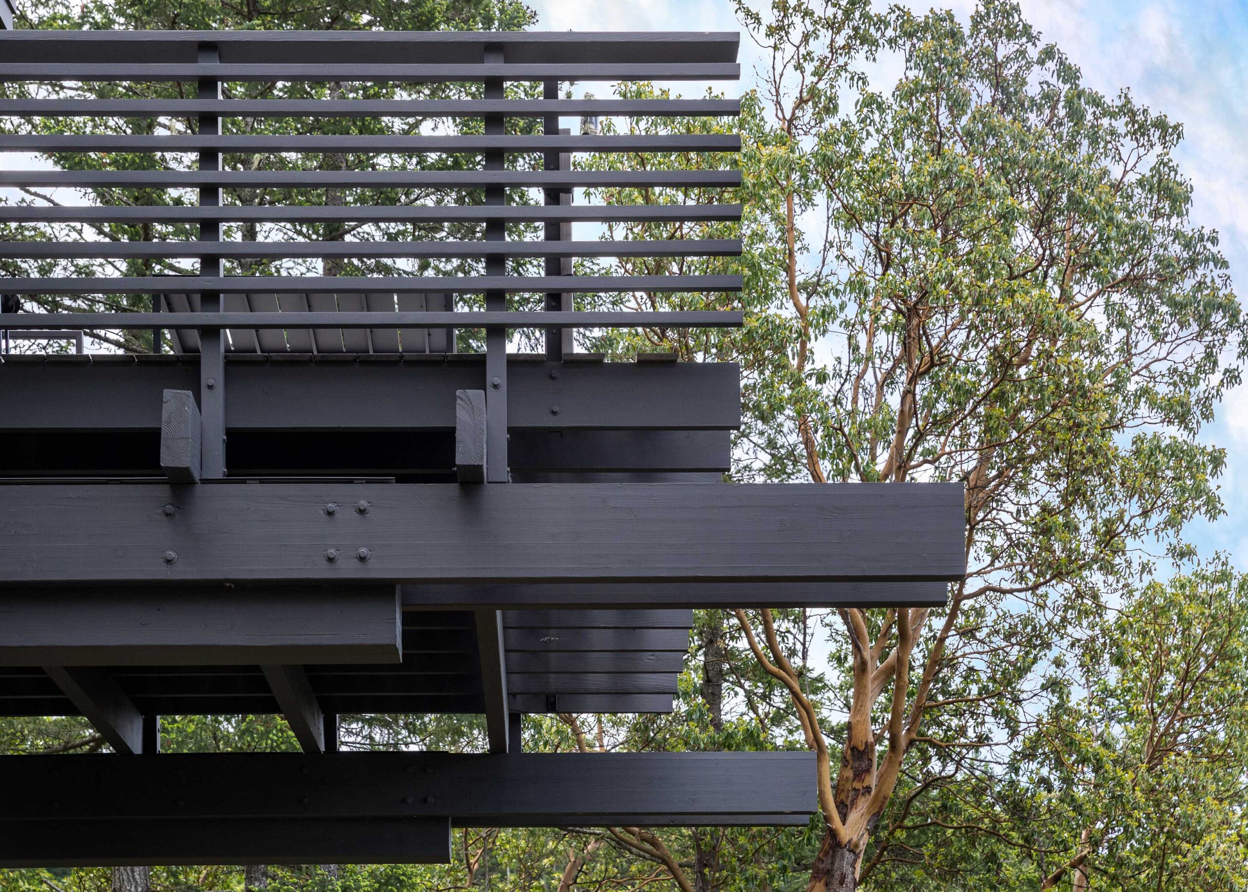 丨美国华盛顿-65