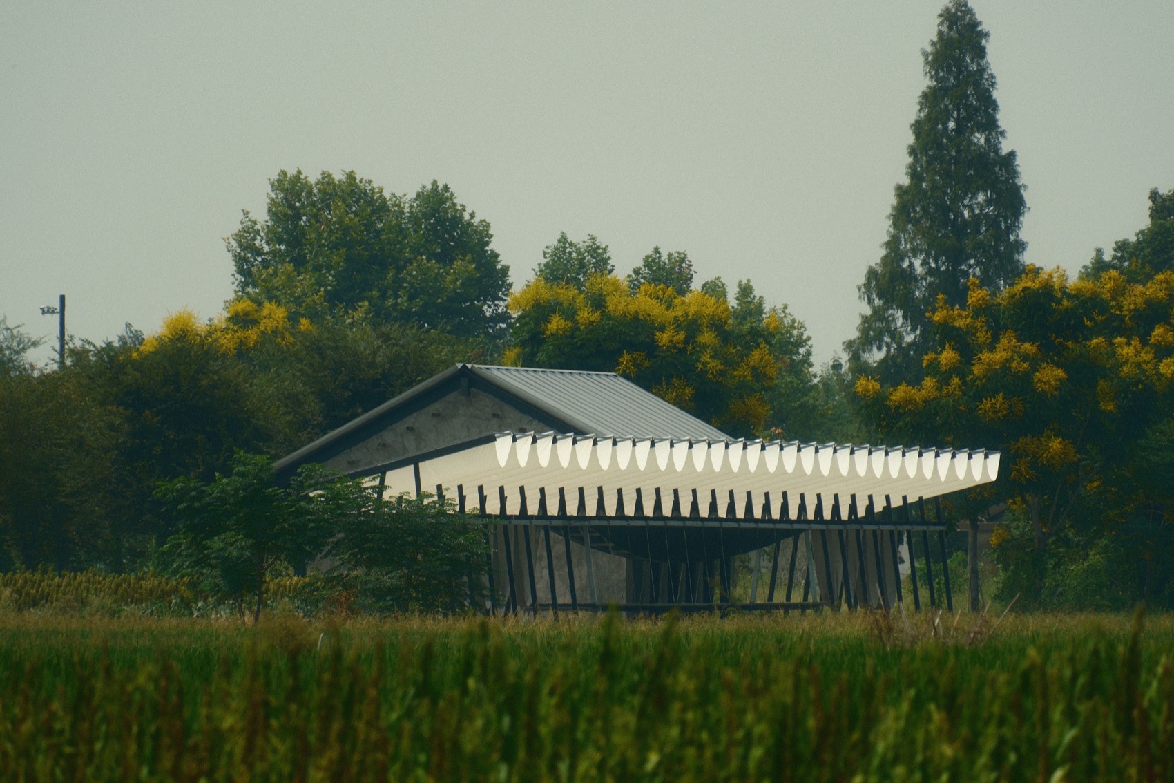 大地长桌丨中国衢州丨梓集fabersociety-8