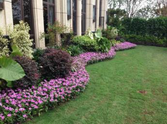 绿化设计中的地被放线手法与植物配置-80