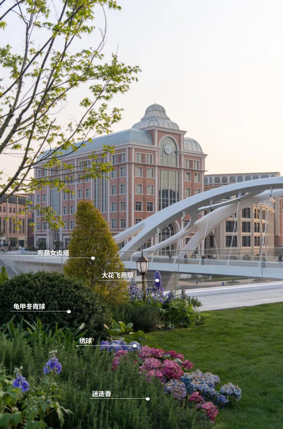 食游一体的活力空中花园|上海青浦西岑水上餐厅花园-48