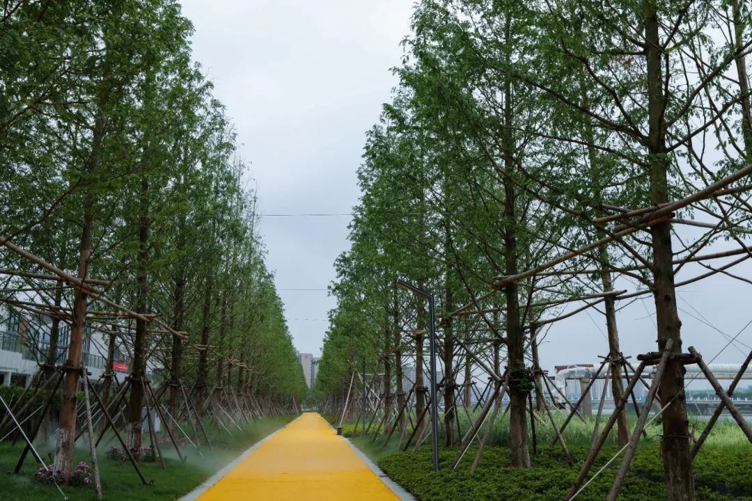 “体育+”赋能美好生活，宁波欢乐海岸生态体育公园正式开放！-9