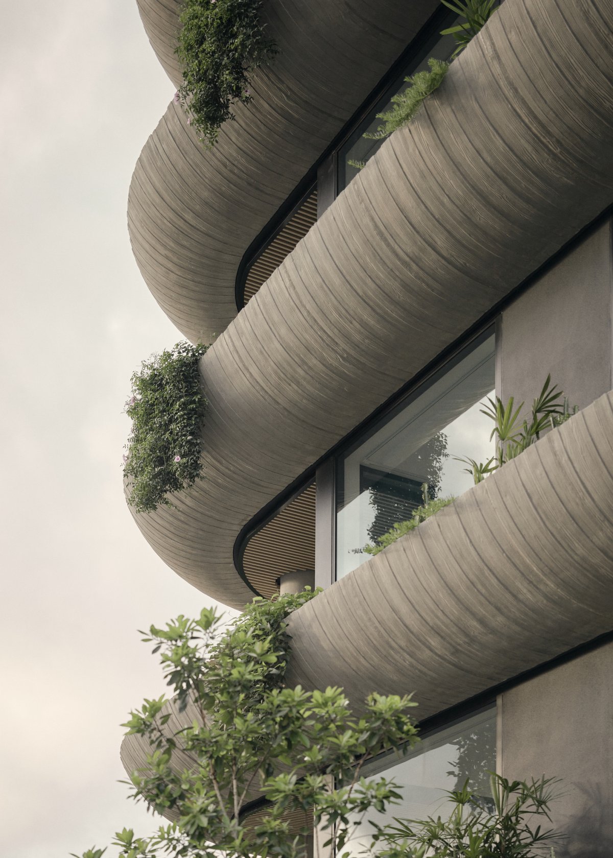 Maison New Farm 多层住宅丨JoeAdsettArchitects-8