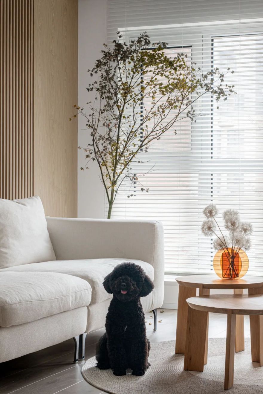 家简丨中国西安丨S.T.Design-80