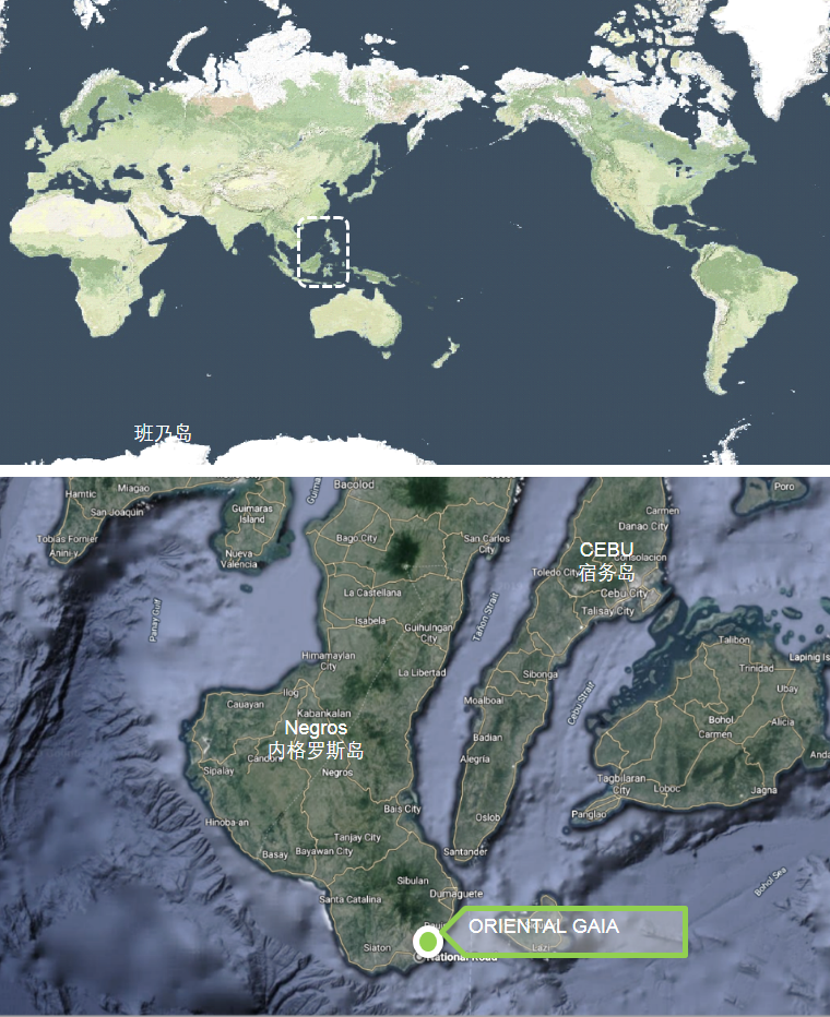 热带岛屿上的 56 棵树 | 场地密码解读与建筑设计-8