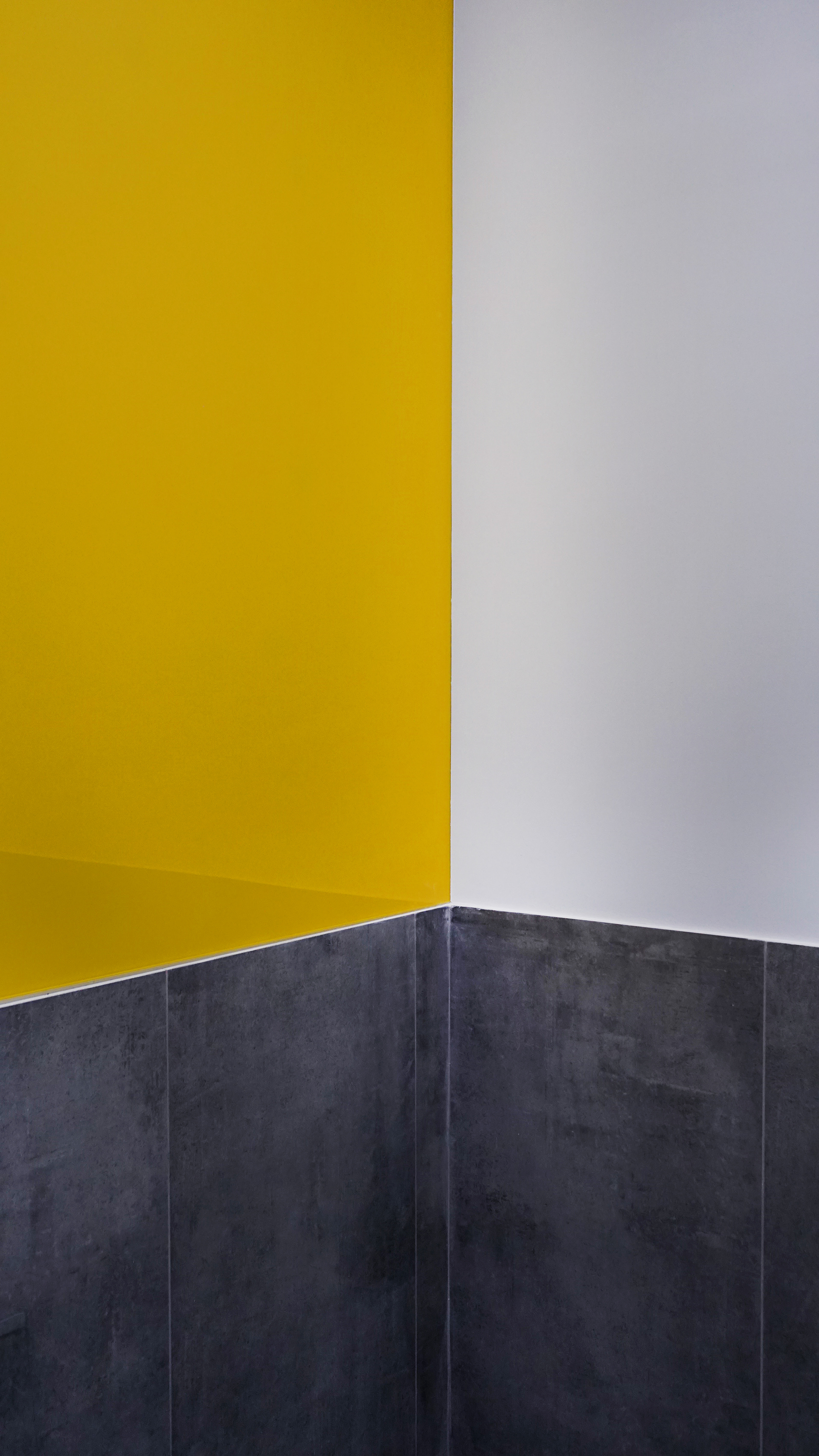 玻璃厂Дана外立面与室内设计项目-10