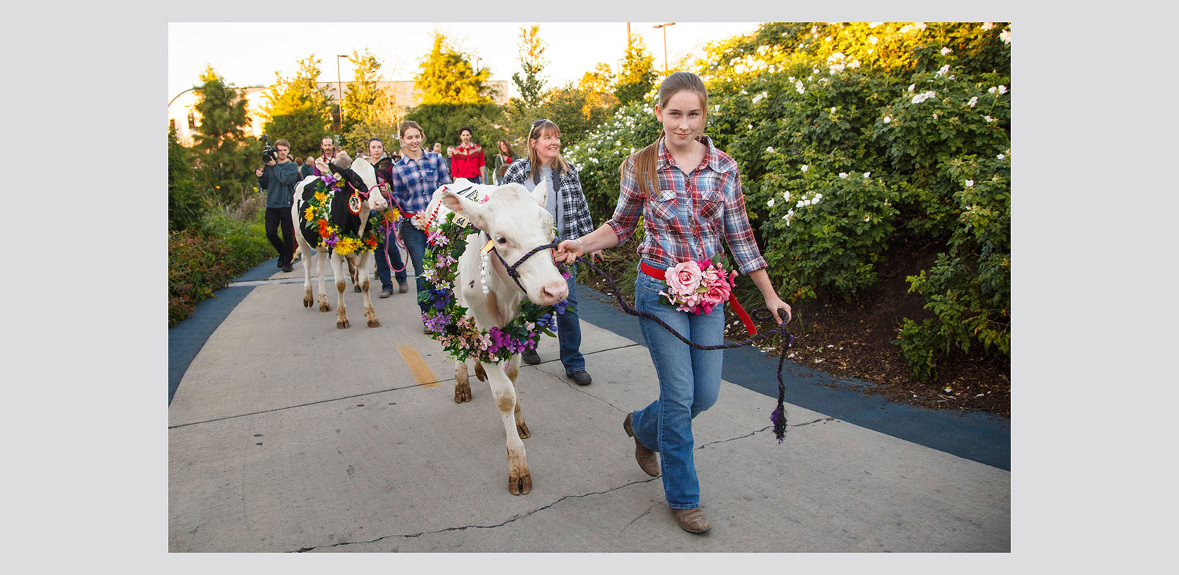 606 公园绿道丨美国芝加哥-77