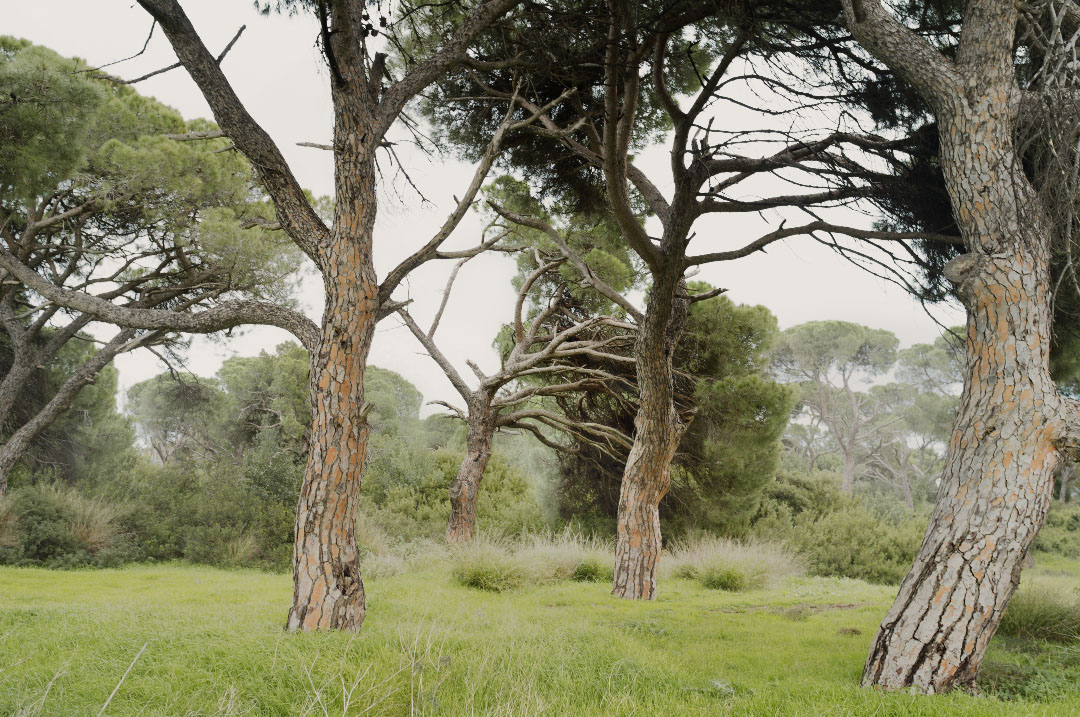 摄影作品：城市近郊的风景，希腊 / Petros Koublis-14