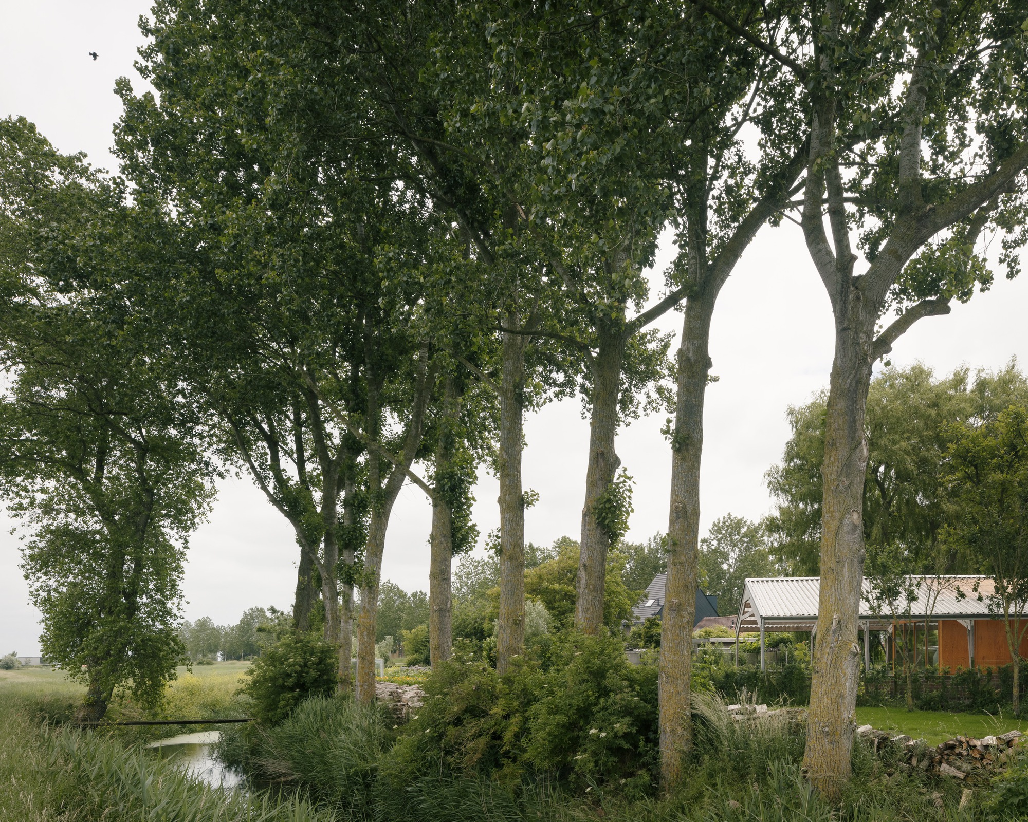 psW 之家和音乐工作室丨比利时丨BLAF Architecten-35