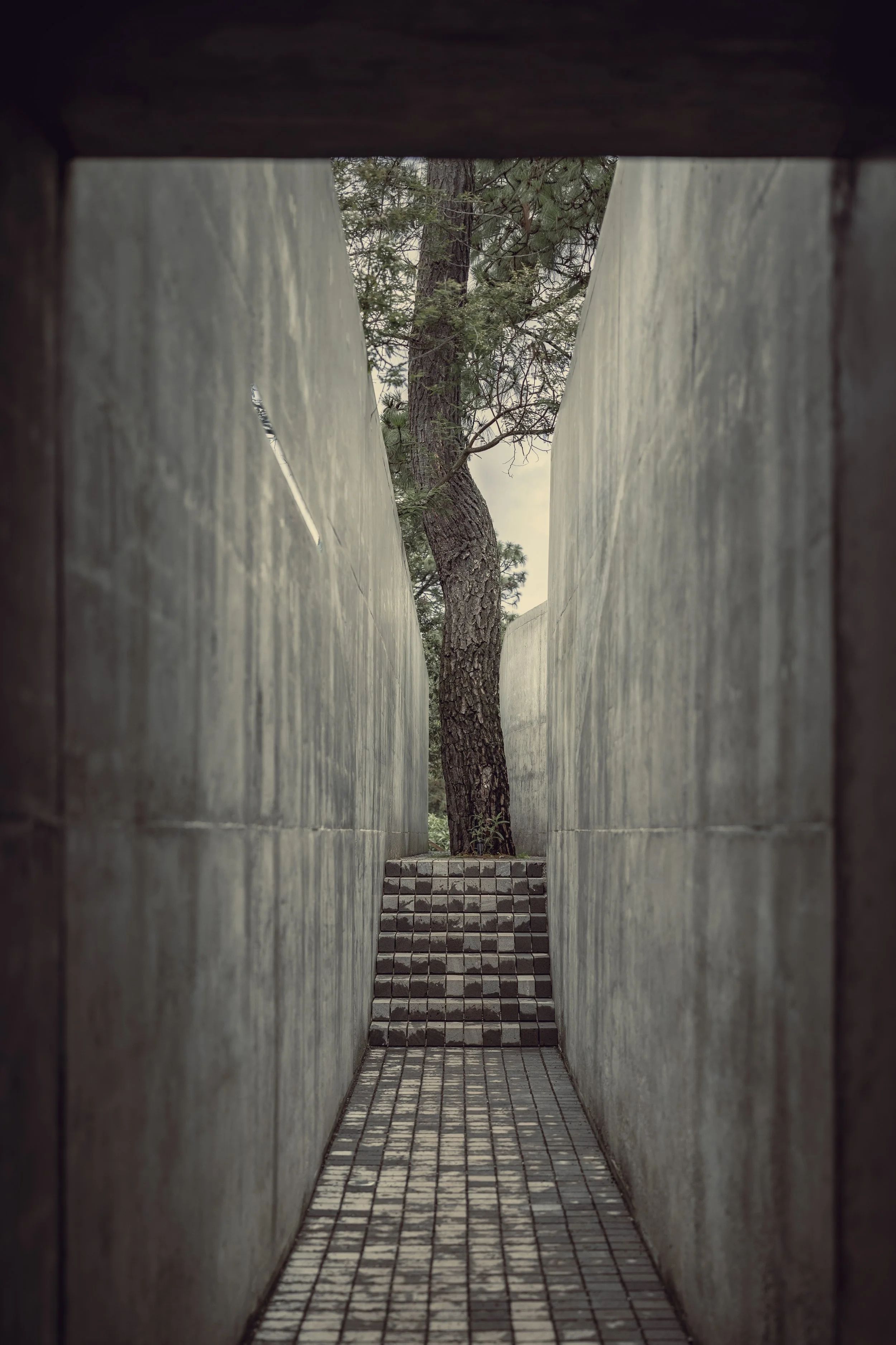 无名之屋丨墨西哥丨HW Studio-113