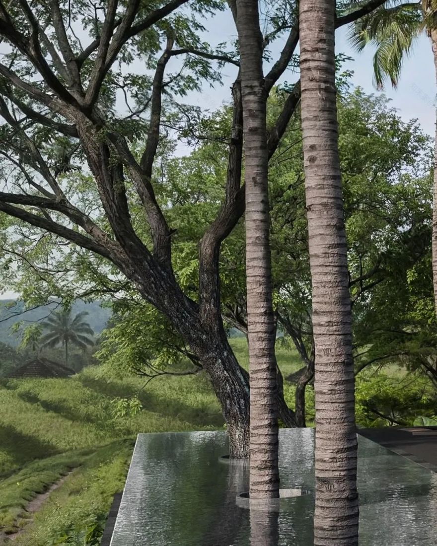 乡村民宿丨印度丨KŌSAME-26