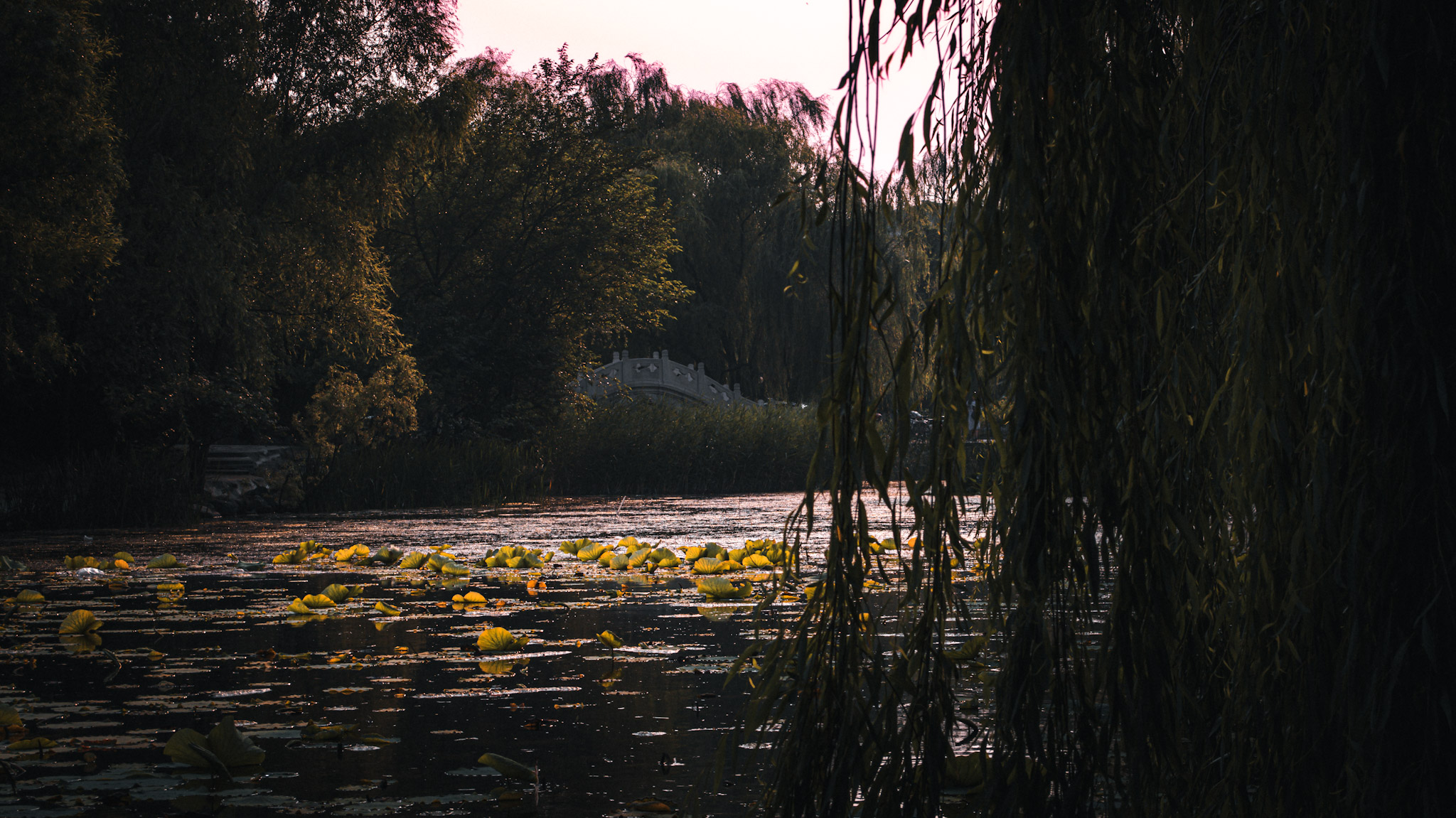 石宝寨塔建筑研究丨中国北京丨John D. Williams-15